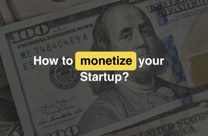 Startup monetization model. How to guide?