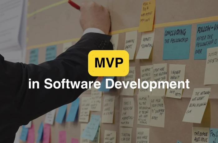 MVP development - Lean Startup way